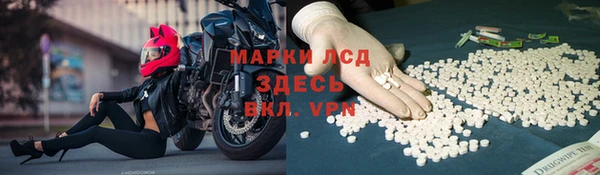 ПСИЛОЦИБИНОВЫЕ ГРИБЫ Пестово