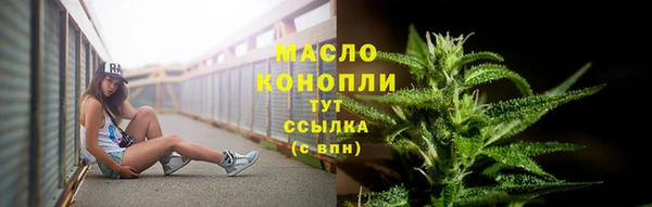 трава Гусиноозёрск
