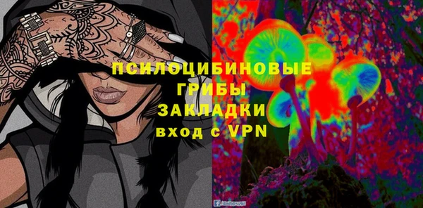 ПСИЛОЦИБИНОВЫЕ ГРИБЫ Пестово