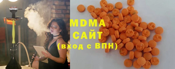 эйфоретик Гусь-Хрустальный