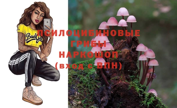 герыч Осинники