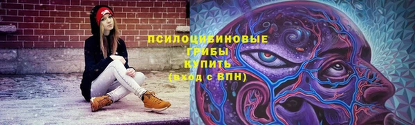 бошки Пересвет