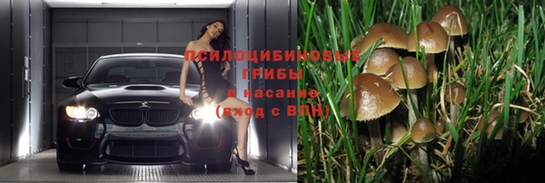 герыч Осинники